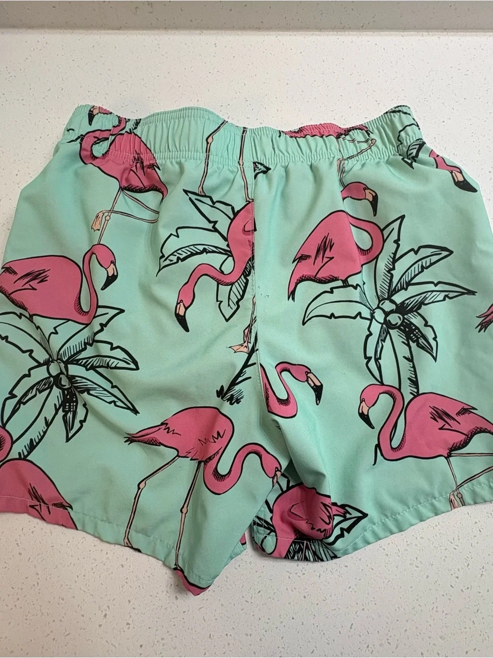 Hollister Mint Green Flamingo Swim Trunks Size XS